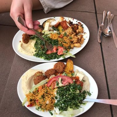 mahmoud's