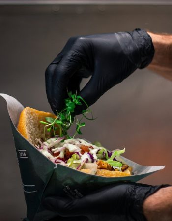 Neue Dönastie