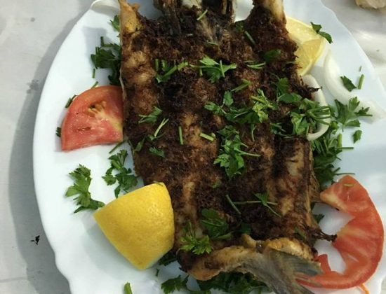 Kebab Tacos Sidi Rached